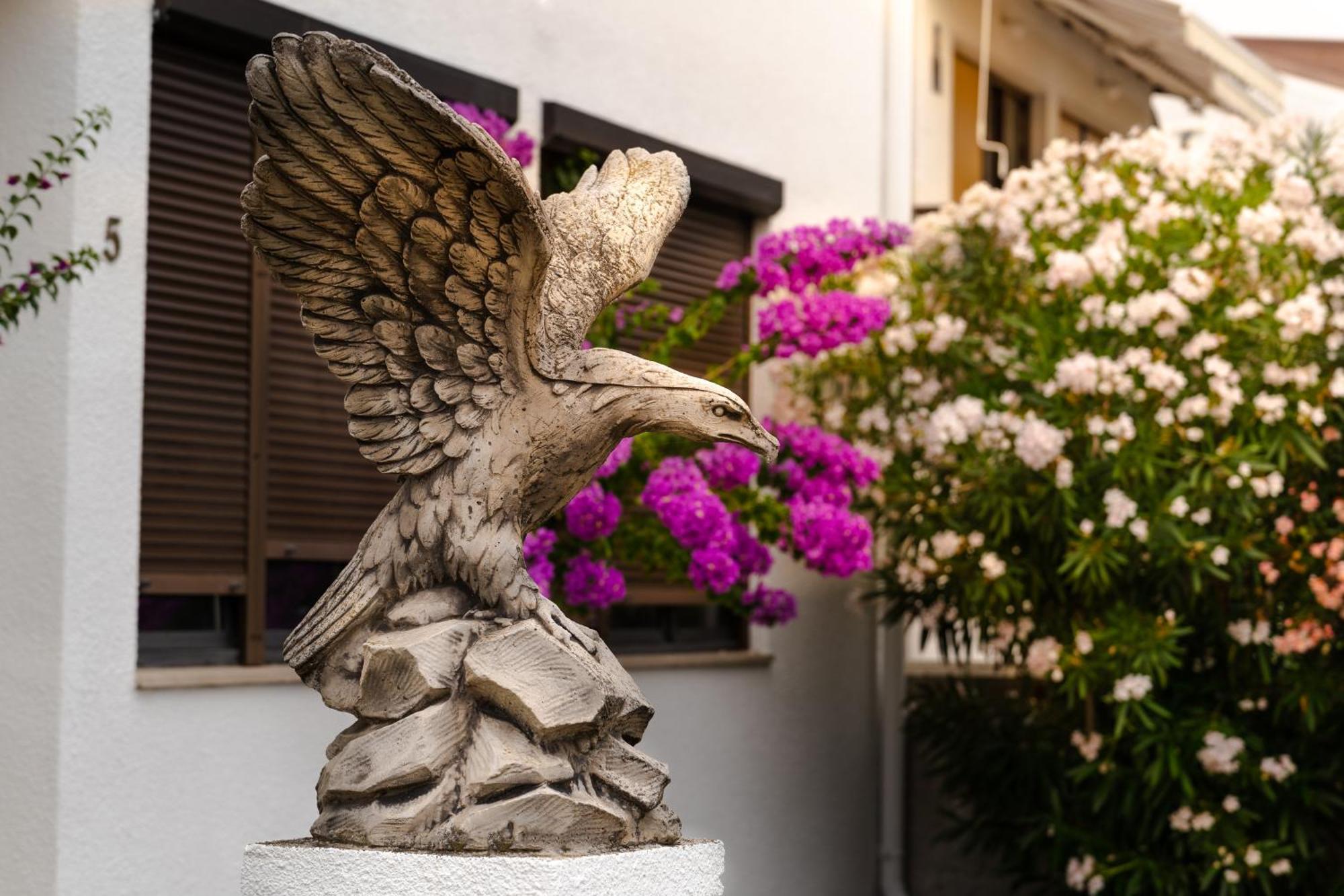 Apartments Dida Sime Starigrad Exterior photo