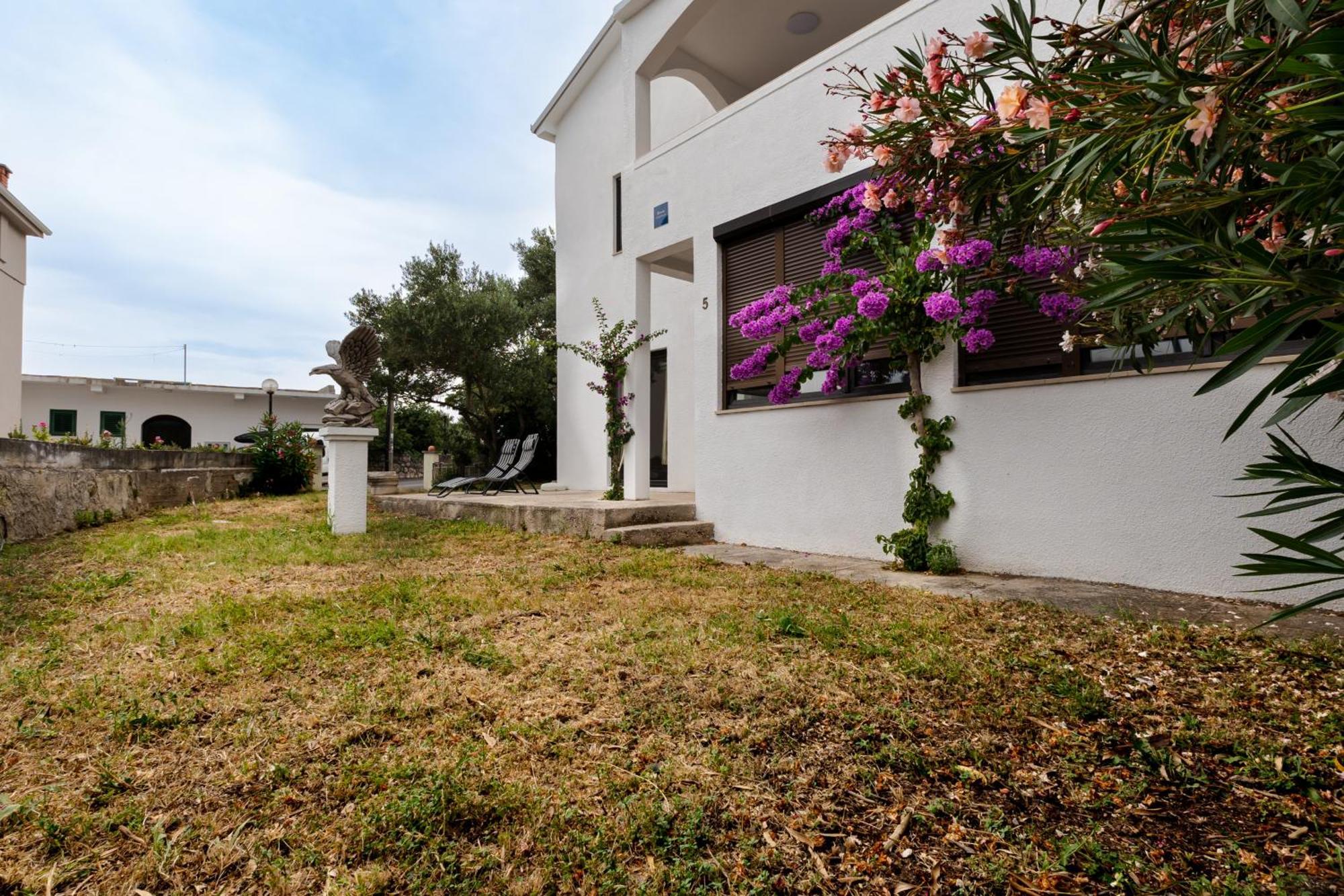 Apartments Dida Sime Starigrad Exterior photo